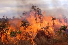 Συναγερμός από φωτιά σε χωριό του Αποκόρωνα Χανίων