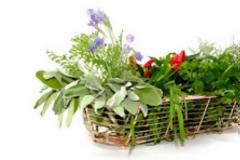 Υγεία: Τα τοπ αφεψήματα για καλό ύπνο & δυνατή μνήμη