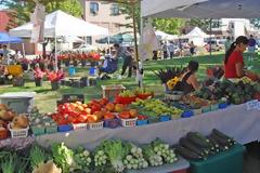 Αυξήθηκαν οι τιμές των γεωργικών προϊόντων τον Μάρτιο