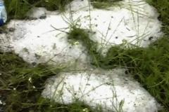 Χαλάζι έπεσε στη Βοιωτία - Καταστράφηκαν καλλιέργειες