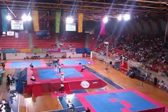 Με απόλυτη επιτυχία διεξήχθη το Πανελλήνιο Πρωτάθλημα TAE KWON DO στην Πάτρα - Δείτε φωτο-video