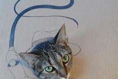 Γάτος σε... σούπερ μεταμφιέσεις από χαρτόνι!