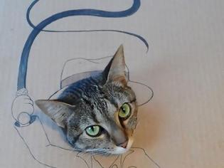 Φωτογραφία για Γάτος σε... σούπερ μεταμφιέσεις από χαρτόνι!