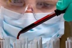 Κίνα: Στους 35 οι νεκροί από τη γρίπη πτηνών