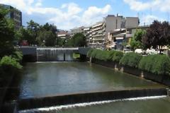 Σπάνια είδη πανίδας και χλωρίδας στον νομό Τρικάλων