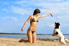 Υγεία: Πώς τα σκυλιά προστατεύουν από τα εμφράγματα;