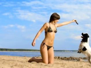 Φωτογραφία για Υγεία: Πώς τα σκυλιά προστατεύουν από τα εμφράγματα;