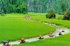 Μαγευτική διαδρομή στους ορυζώνες του Βιετνάμ!