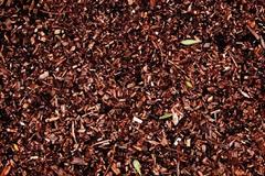 Πάτρα: Kάτοικος εντόπισε 12 θαμμένα μασούρια με εκρηκτική ύλη στην πλατεία της Αρόης