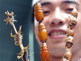 Φωτογραφία για ΟΗΕ Τρώτε έντομα, κάνουν καλό