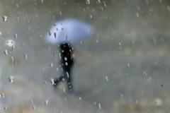 Πρόγνωση καιρού για Τρίτη