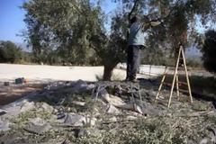 Σωτήρια η απόφαση του Ειρηνοδικείου για 54χρονο αγρότη