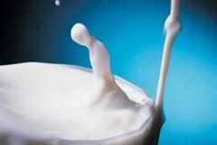 Δήμος Πατρέων: Μειώθηκε το κόστος προμήθειας γάλακτος - Eβαπορέ αντί για φρέσκο στους εργαζόμενους