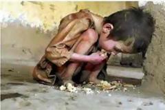 Παγκόσμιος Οργανισμός Τροφίμων: Πεινάτε; Φάτε έντομα!