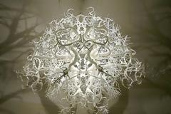 Πολυέλαιος μετατρέπει ένα δωμάτιο σε ένα δάσος!