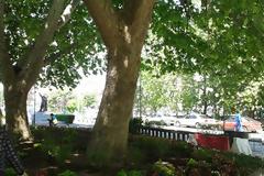 Επιτέλους χρώμα στα 