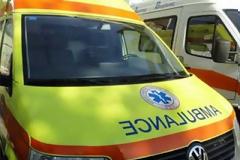 Άγριο ξύλο για 150 ευρώ