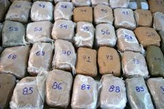 Συνεργάτη με φυτεία χασίς στην Aιτωλοακαρνανία είχε το κύκλωμα που εξαρθρώθηκε στην Κόρινθο