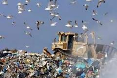 Γιγάντια χωματερή μεταμορφώθηκε σε καταπράσινη όαση