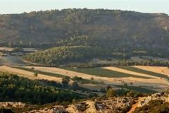 Φόρος στα αγροτεμάχια με βάση τη χρήση και την περιοχή