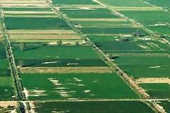 Ανά στρέμμα ο φόρος στα αγροτεμάχια