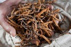 8.000 μαθητές αναζητούν 