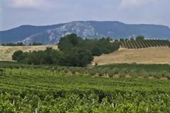 Διαψεύδει η κυβέρνηση δημοσιεύματα για φορολόγηση αγροτικών εκτάσεων