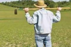 Νέο πρόγραμμα κατάρτισης ανέργων στον αγροτικό τομέα