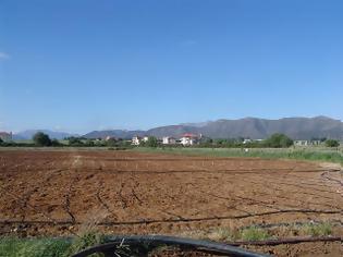 Φωτογραφία για Κλήρωση αγροτεμαχίων δημοτικού λαχανόκηπου Τρίπολης