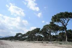 Πού είναι το κράτος - πρόνοια; Αναρωτιέται αναγνώστρια...