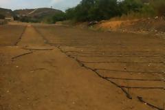 Ο στάβλος που έγινε λαχανόκηπος για άπορους στο Ηράκλειο