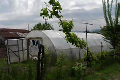 Αστυνομική επιχείρηση της Ασφάλειας Τρικάλων σε… θερμοκήπιο