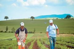 Υγεία: Ζιζανιοκτόνο προκαλεί αυτισμό και αλτσχάιμερ