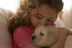 Άνθρωποι και σκύλοι εξελίχθηκαν μαζί