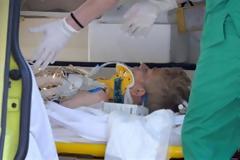 Ψυχρός εκτελεστής ο Ολλανδός ανιματέρ