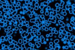 Υγεία: Ένα βακτήριο για το αδυνάτισμα