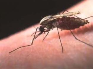 Φωτογραφία για Υγεία: Ο άνθρωπος «μαγνητίζει» την ελονοσία