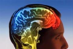 Αντίληψη | Η στροφή των νευροεπιστημών στη γνωστική λειτουργία