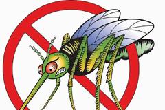 Ξεφορτωθείτε τα κουνούπια πριν καν εμφανιστούν!