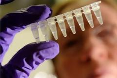 Σε εγρήγορση το ΚΕΕΛΠΝΟ για τον νέο θανατηφόρο κοροναϊό