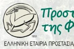 Τελετή αναγγελίας Βράβευσης Γαλάζιων Σημαιών 2013