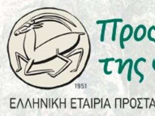 Φωτογραφία για Τελετή αναγγελίας Βράβευσης Γαλάζιων Σημαιών 2013