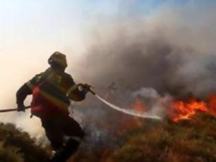 Φωτογραφία για Aχαΐα: Πυρκαγιά ξέσπασε στην Λακκόπετρα
