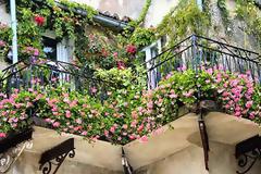 Διαγωνισμός κήπων και μπαλκονιών από το Δήμο της Άρτας!