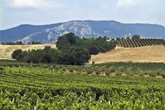 «Δεν υπάρχουν προειλημμένες αποφάσεις για τη φορολόγηση αγροτεμαχίων»