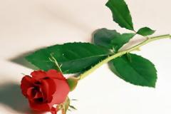 Θρήνος για τον αιφνίδιο θάνατο 12χρονης