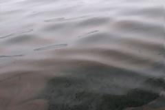 Θαλάσσια ρύπανση στα Ίσθμια