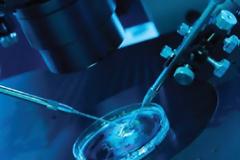 Υγεία: Νέα μέθοδος εξωσωματικής με τριπλάσιες πιθανότητες επιτυχίας