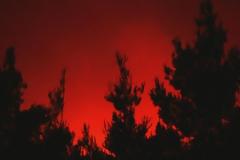 Πυρκαγιά σε δύσβατη περιοχή στο Ηράκλειο