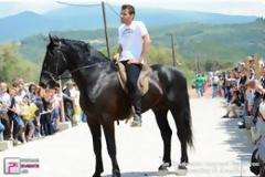 Aπό την Πάτρα στην Ανδραβίδα με τα άλογα!